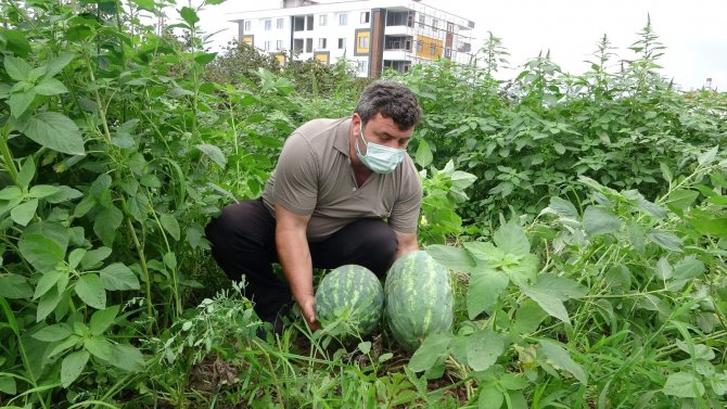 Üretim Az Olunca Değeri Daha Da Arttı