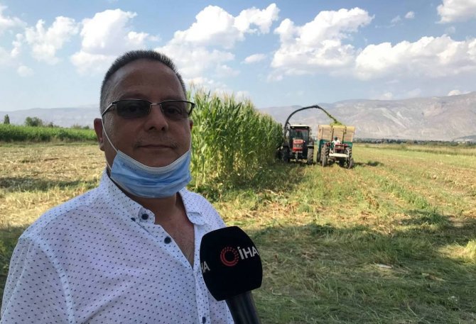 Silajlık Mısır Hasadı Erzincan’da Başladı