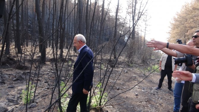 Kılıçdaroğlu Marmaris’te Evleri Yanan Aileyi Ziyaret Etti, Yeşillenen Bir Ağacın Fotoğrafını Çekti