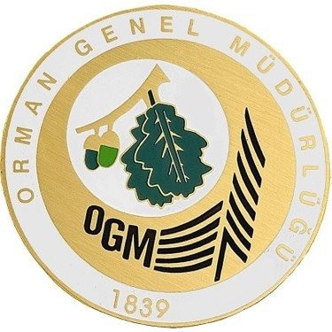 Ogm: “Bugün Çıkan 7 Orman Yangınının Tamamını Kontrol Altına Aldık”