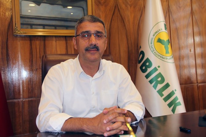 Fi̇skobi̇rli̇k’te Randımana Göre Fındık Alım Fiyatı Yükseliyor