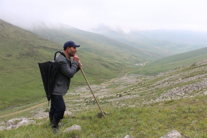 Karadeniz’in Son Sürü Sahipleri