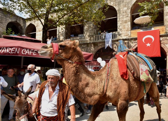 6 Asırlık Handa Develi Koza Mezadı