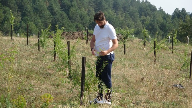 İ̇thal Edildiğini Öğrendi, 60 Dönümlük Arazide Badem Bahçesi Kurdu