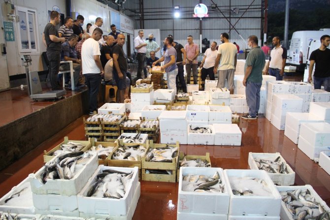 Denizde Av Sezonu Açıldı, Antalya’da İlk Balıklar Kapış Kapış Satıldı
