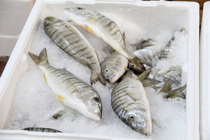 Denizde Av Sezonu Açıldı, Antalya’da İlk Balıklar Kapış Kapış Satıldı