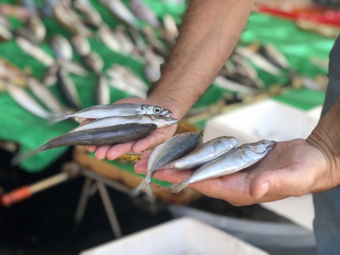 Kumkapı’daki Balık Tezgahları Boş Kaldı