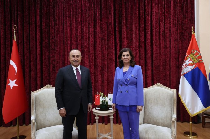 Bakan Çavuşoğlu, Boşnak Ulusal Azınlık Konseyi Başkanı Curic İle Görüştü