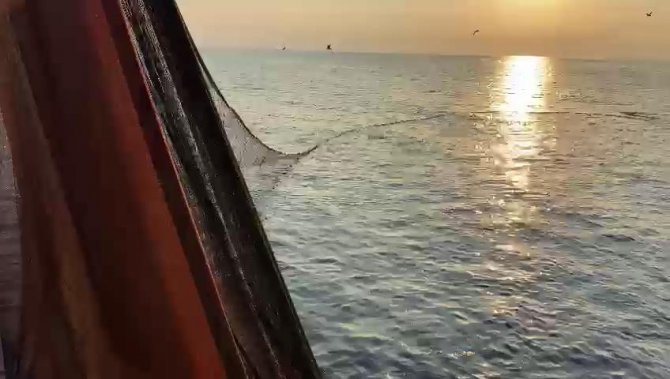 Av Yasağı Kalktı, Tezgâhlar İstavritle Doldu