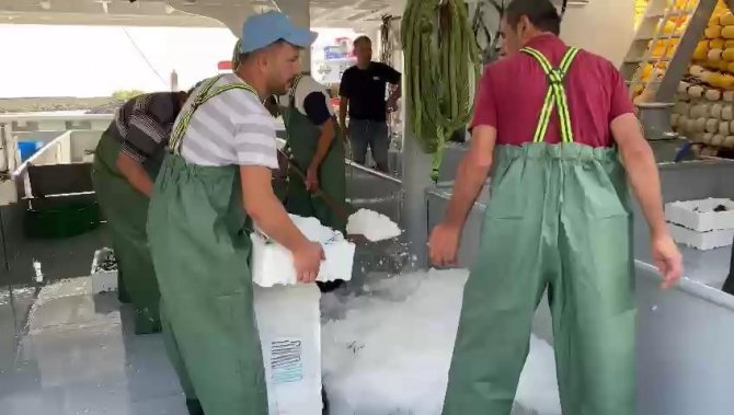 Av Yasağı Kalktı, Tezgâhlar İstavritle Doldu