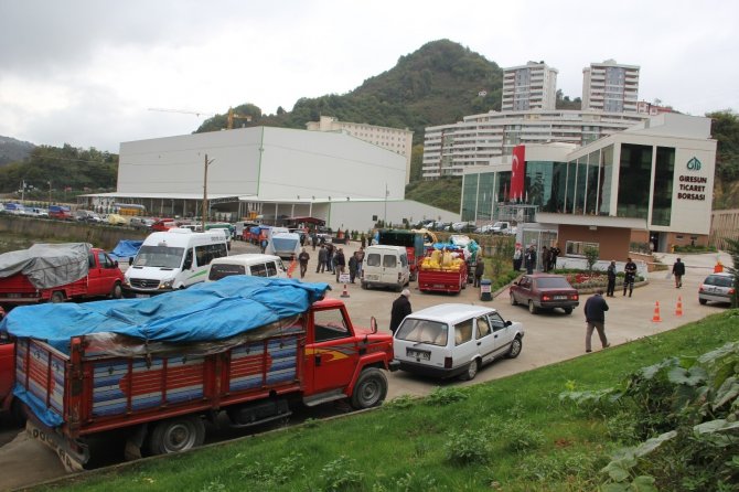 Tmo Giresun’da Fındık Alımlarına Başladı