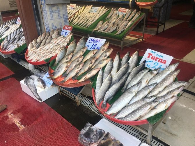 Yeni Sezonda Balıklar Tezgahlardaki Yerini Aldı