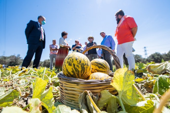 Tadı, Dayanıklılığı, Aromasıyla Meşhur Çeşme Kavunu Tescillendi