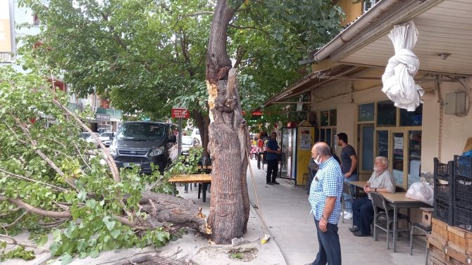 Artvin’de Şiddetli Rüzgar Etkili Oldu