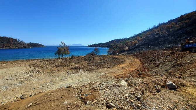 İ̇nşaat Yapılıyor Denilen Yanan Koyda, Lavanta Bahçesi Yapıldığı Ortaya Çıktı