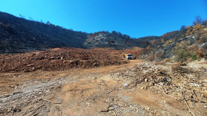 İ̇nşaat Yapılıyor Denilen Yanan Koyda, Lavanta Bahçesi Yapıldığı Ortaya Çıktı