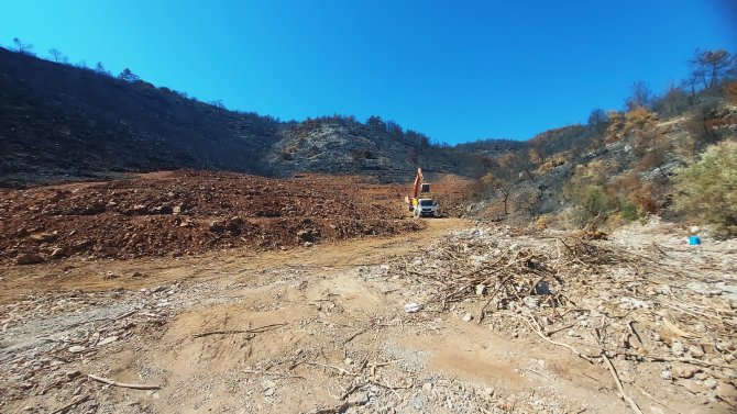 İ̇nşaat Yapılıyor Denilen Yanan Koyda, Lavanta Bahçesi Yapıldığı Ortaya Çıktı