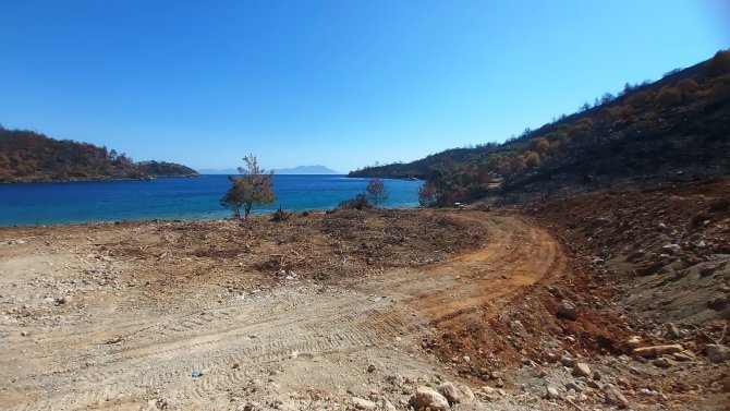 İ̇nşaat Yapılıyor Denilen Yanan Koyda, Lavanta Bahçesi Yapıldığı Ortaya Çıktı