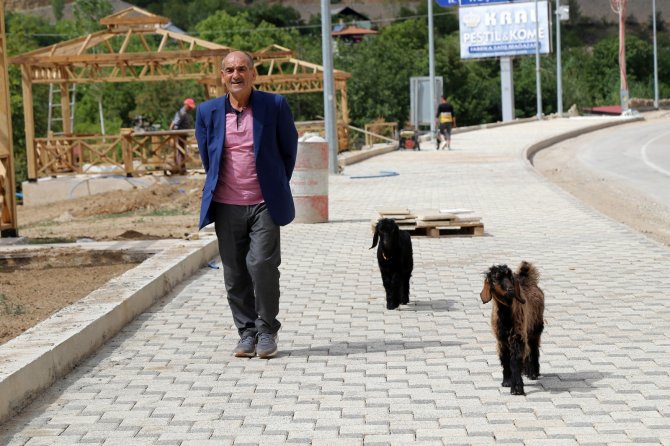 Her Yere Yavru Keçileri İle Gidiyor