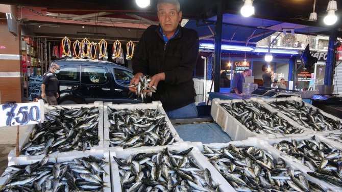 Balıkçılar Palamudu Bekliyor