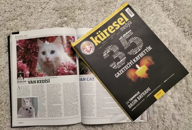 Van Kedisi Küresel Medya Dergisinde