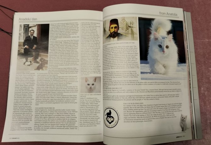 Van Kedisi Küresel Medya Dergisinde