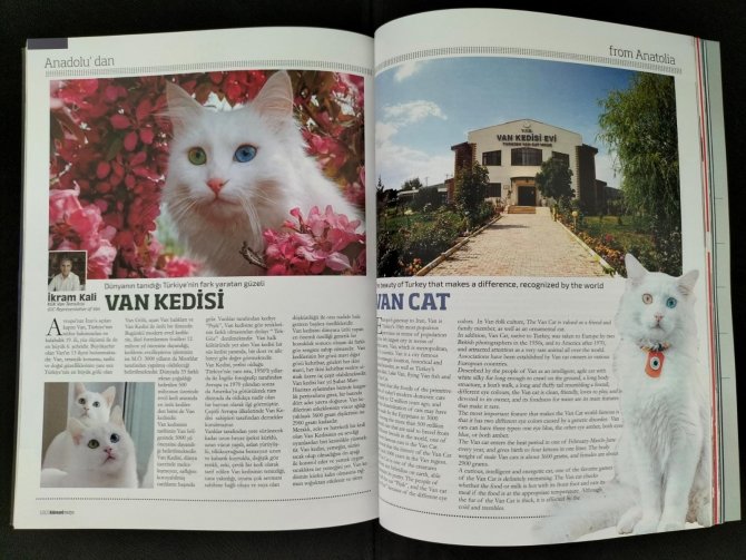 Van Kedisi Küresel Medya Dergisinde