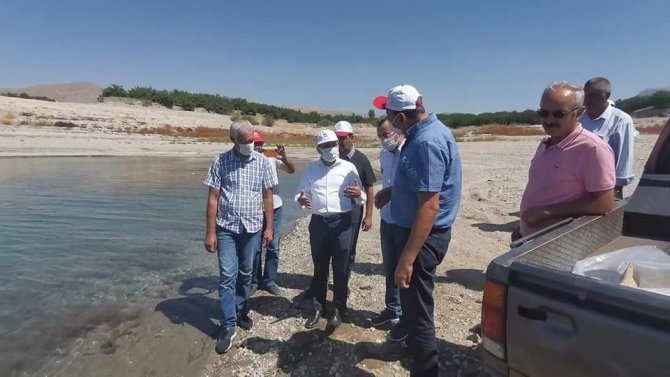 Baskil’de 300 Bin Sazan Baraj Gölüne Bırakıldı