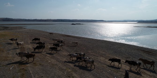 Sular Çekildi, Augusta Antik Kenti Gün Yüzüne Çıktı