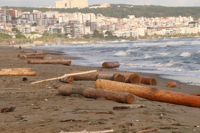 Ayancık’ta Sel Sularının Denize Sürüklediği Tomruklar Samsun Sahillerinde