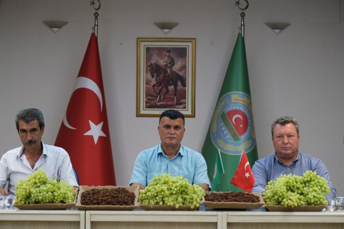 Üzüm Üreticisinden Tmo’ya Fiyat Güncelleme Çağrısı, Tariş’e Tepki