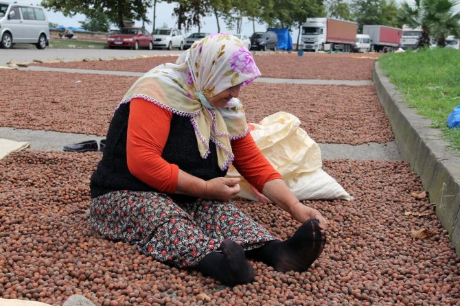 Fındık Üreticilerine “Ürününüzü Satmak İçin Acele Etmeyin” Çağrısı