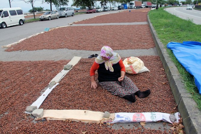 Fındık Üreticilerine “Ürününüzü Satmak İçin Acele Etmeyin” Çağrısı
