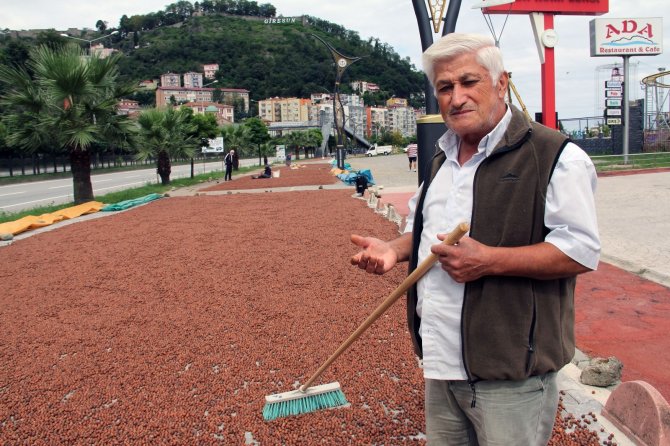 Fındık Üreticilerine “Ürününüzü Satmak İçin Acele Etmeyin” Çağrısı