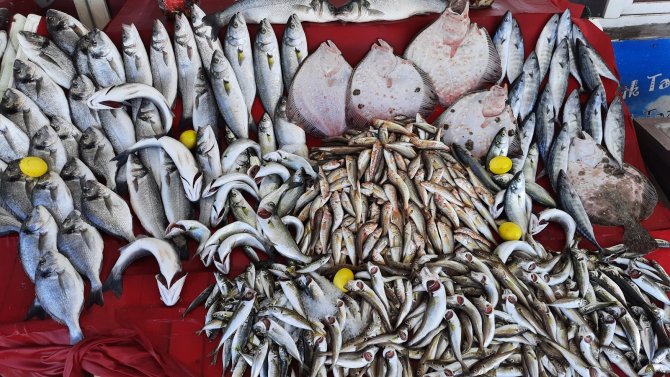 Balıkçılar Umudunu Hamsiye Bağladı