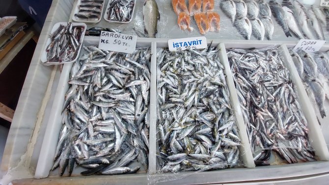 Poyraz, Balık Fiyatlarını Allak Bulak Etti