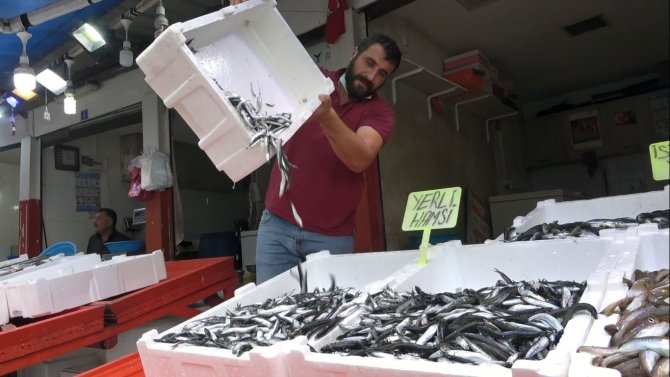 Erken Başlayan Hamsi Sezonu, Erken Bitecek Endişesi