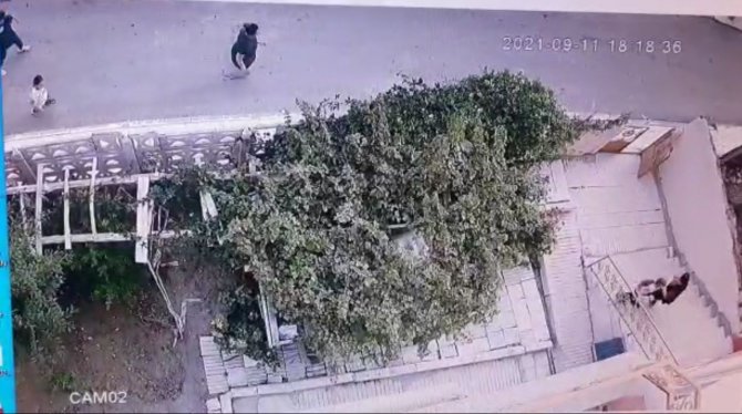 Çorum’da Pitbull Dehşeti