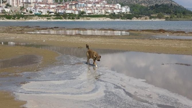 Kanalizasyon Suyu Karıştığı İddia Edilen Eğirdir Gölü’nden Numune Alınacak