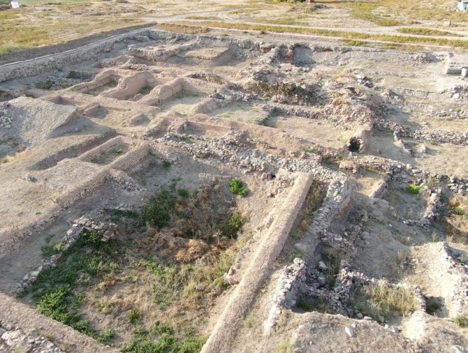 Kültepe’de İlk Kez 4 Bin Sene Önce Yaşayan Aslana Ait Kemik Bulundu