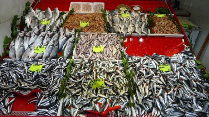 Çanakkale’de Sardalyanın Fiyatı 30 Liraya Düştü