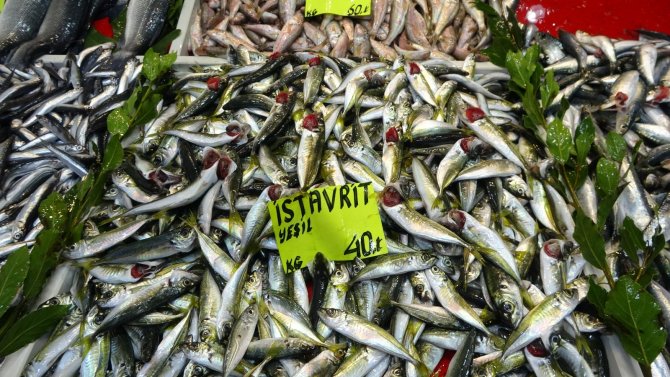 Çanakkale’de Sardalyanın Fiyatı 30 Liraya Düştü