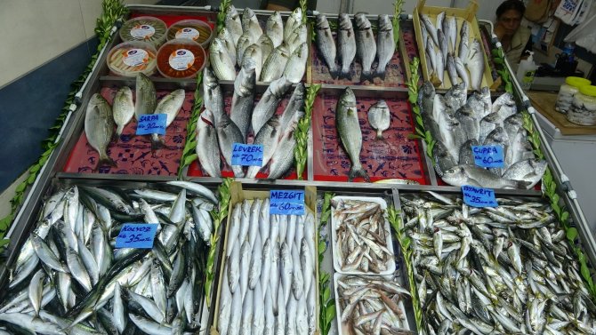 Çanakkale’de Sardalyanın Fiyatı 30 Liraya Düştü