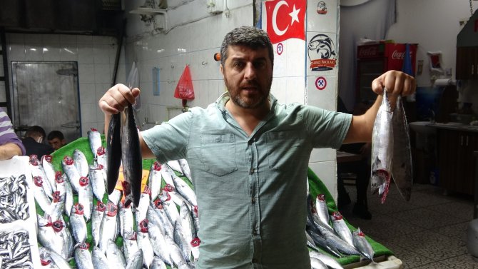 Karadeniz’de Balık Bolluğu