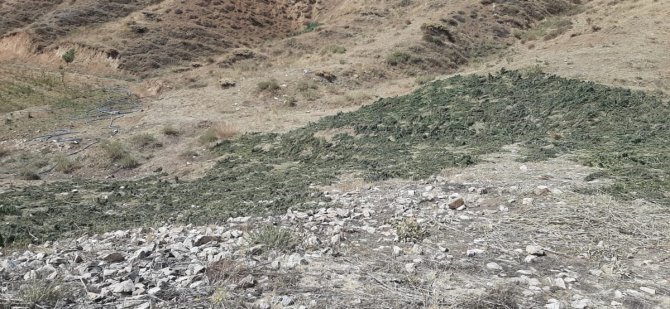 Bingöl’de Kırsalda Kurumaya Bırakılmış 289 Kilo Kubar Esrar Ele Geçirildi