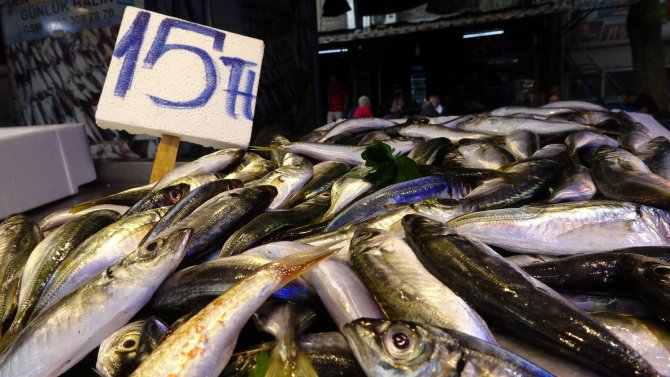 Trabzonlu İstavrite Doydu, Hamsi Ve Palamutun Bollaşmasını Bekliyor