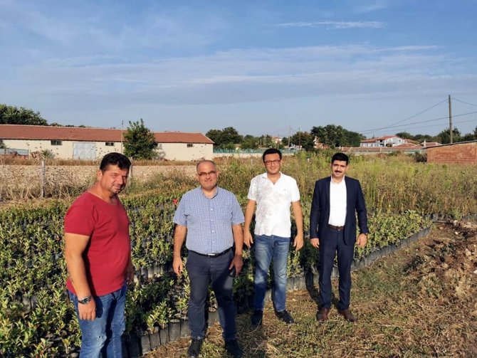 Şifa Kaynağı Aronya Mudanya’da Üretilecek