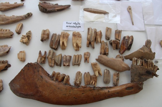 Erzurum’un Tarihine Işık Tutan 6 Bin Yıllık Höyükte Kalıntılara Rastlandı