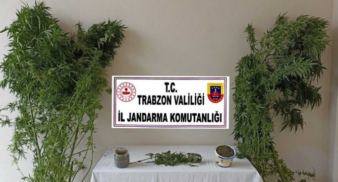 Trabzon’da Jandarma Ekiplerinin Uyuşturucu İle Mücadelesi Hız Kesmeden Devam Ediyor