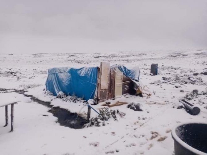 Artvin’de Ani Bastıran Kar Sürü Sahiplerine Zor Anlar Yaşattı